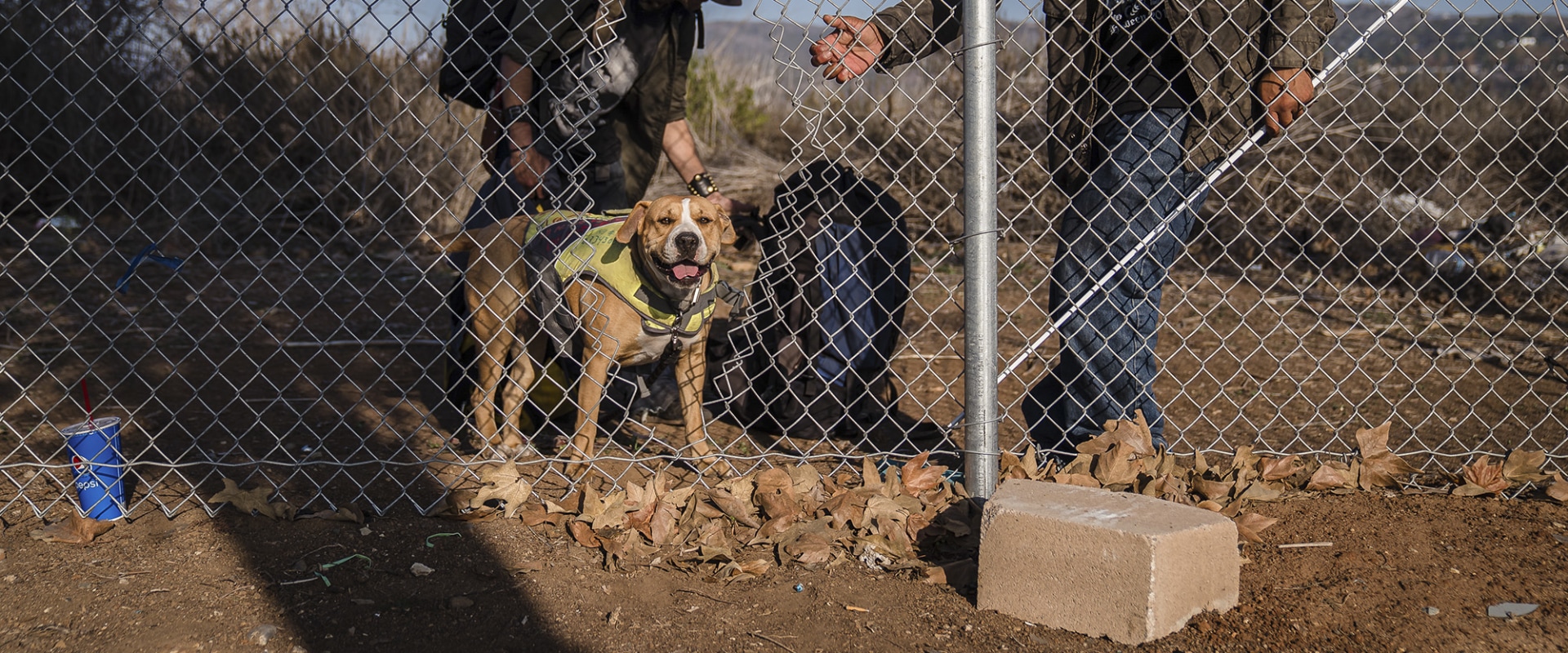 Staying Connected: How to Stay Updated on Animal Shelters in Los Angeles County, CA