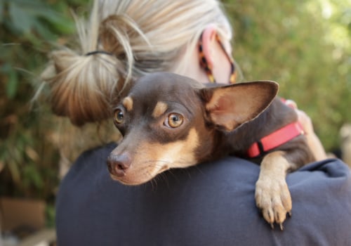 The World of Breed-Specific Rescues in Los Angeles County