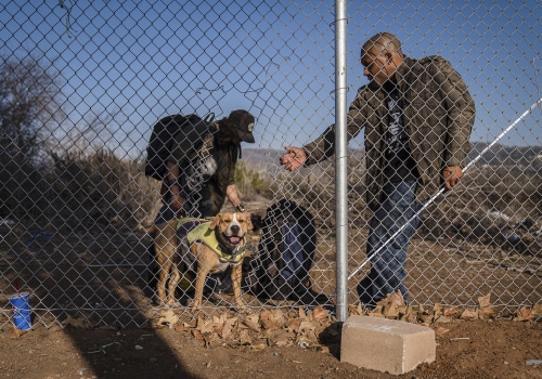 Staying Connected: How to Stay Updated on Animal Shelters in Los Angeles County, CA